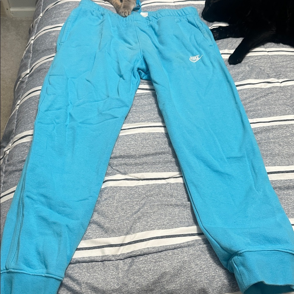 Nike Aqua Blue Joggers